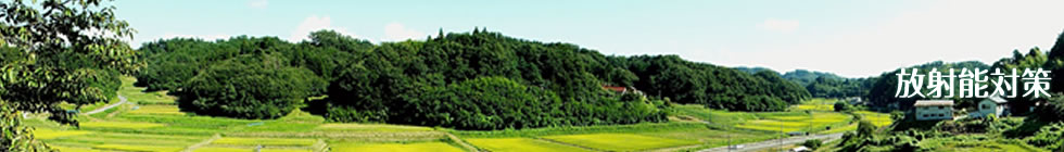 �X�^�f�B�t�@�[���n�߂܂����B