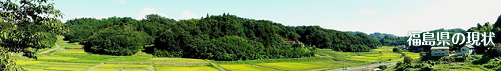 �X�^�f�B�t�@�[���n�߂܂����B