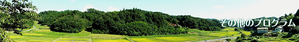 �X�^�f�B�t�@�[���n�߂܂����B